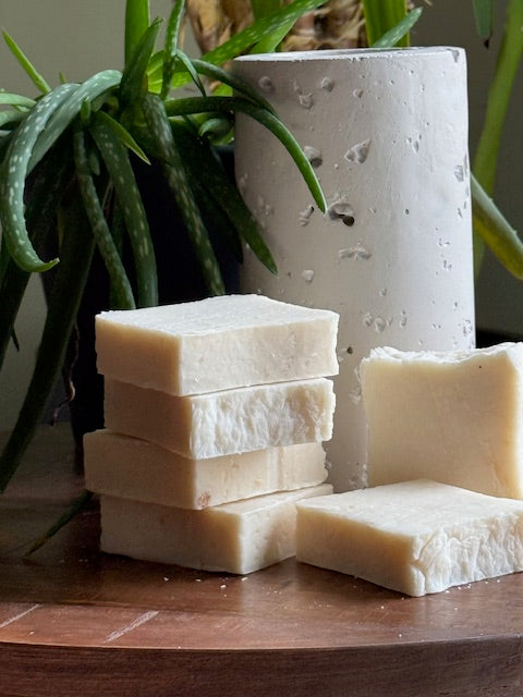 Aloe &amp; Avocado Soap Bar