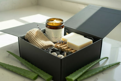 Aloe Avocado Body Collection